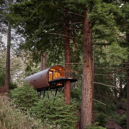 ~* The Spectacular Spyglass Treehouse *~ Occidental 외부 사진