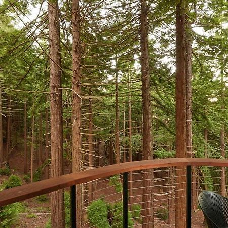 ~* The Spectacular Spyglass Treehouse *~ Occidental 외부 사진