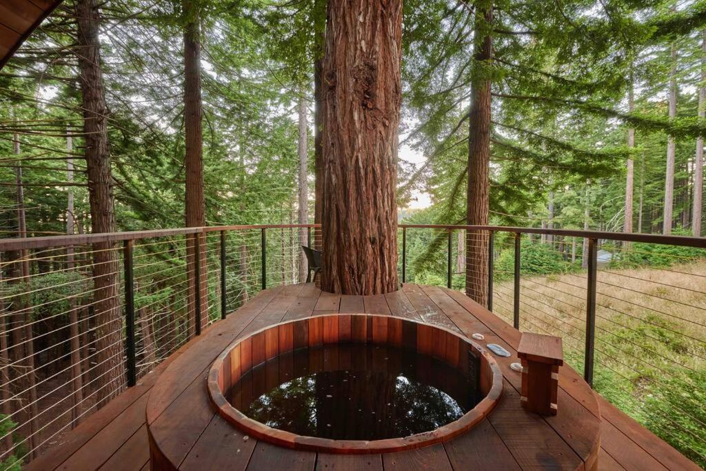 ~* The Spectacular Spyglass Treehouse *~ Occidental 외부 사진